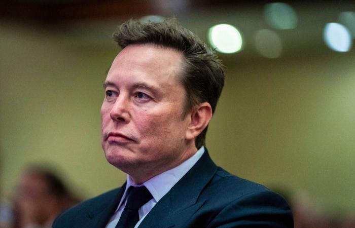 Trump-Präsident: Elon Musk in „großen Streit“ in Mar-a-Lago verwickelt