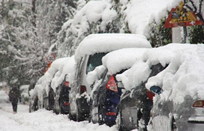 Vorbereitungen für den Winter – Der Wegweiser