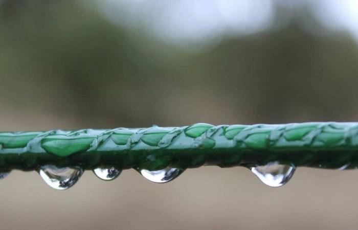 Wie wird das Wetter in Saint-Lô und Umgebung am Dienstag, den 19. November 2024?