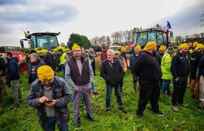 Die Ländliche Koordination schließt sich der Bewegung an, die für diesen Mittwoch im Südwesten geplant ist