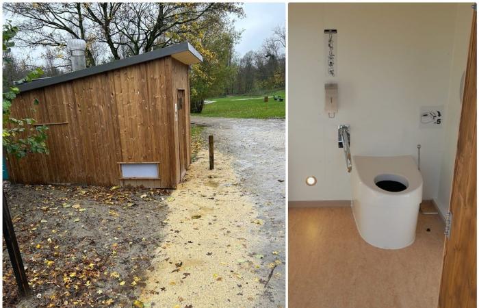 Trockene Wurm-Kompost-Toiletten werden in Brüsseler Parks getestet: „Sobald die Würmer hinzugefügt sind, funktioniert sie fünf Jahre lang von selbst“