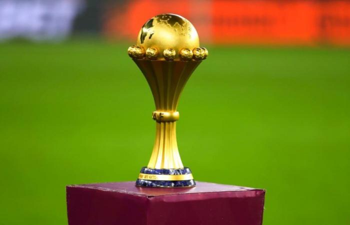 Die 24 Spieler qualifizierten sich für den nächsten Afrika-Cup, wobei ein großer Teilnehmer fehlte