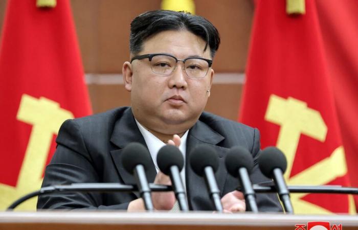 Kim Jong Un fordert stärkere Beziehungen zwischen Nordkorea und Russland