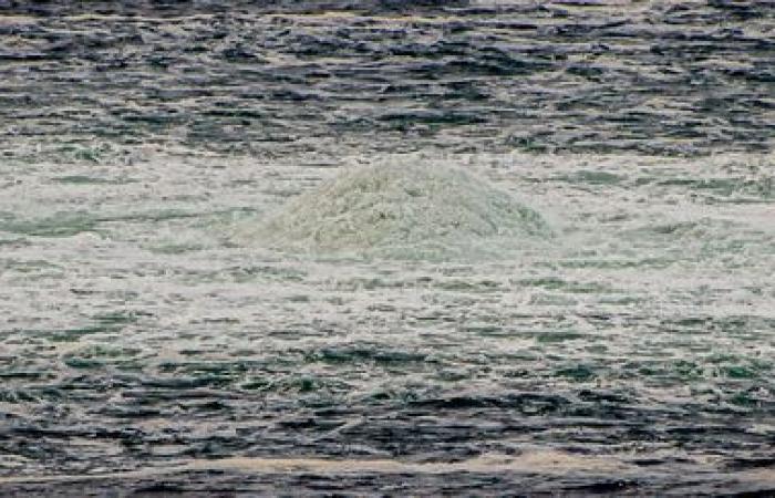 In der Ostsee wurde ein zweites Unterwasser-Telekommunikationskabel beschädigt, das Schweden und Litauen verband