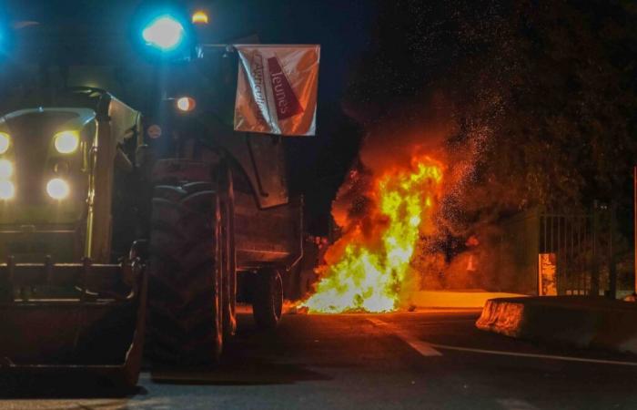 Nîmes: Wütende Bauern ergreifen Maßnahmen – Nachrichten – Agrarkrise – Nîmes