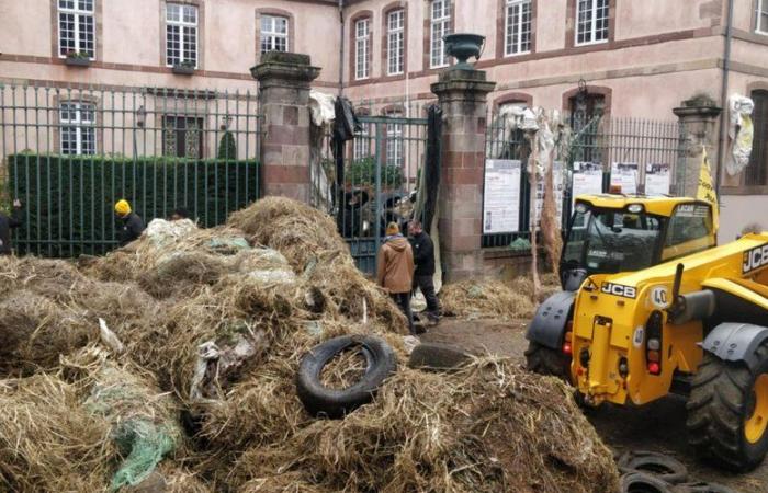 VIDEO. Wut der Bauern: Eingetaucht in die Traktorenkolonne, die auf Rodez zusteuerte, um die Präfektur „umzudekorieren“.