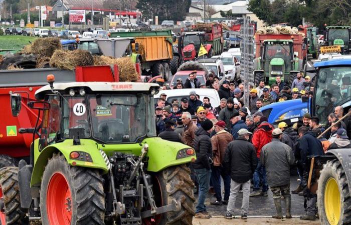 Wut der Bauern: Rückkehr in die Präfektur, schlagkräftige Aktionen … CR 47 plant einen großen Tag der Mobilisierung in Agen