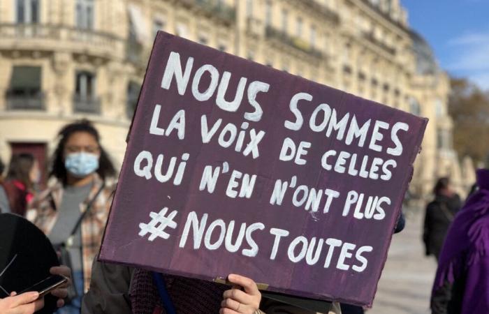 Das Kollektiv Nous Tous ruft für Samstag, den 23. November, zu einer Demonstration in Niort auf