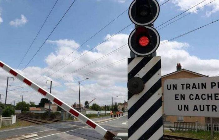 Norden. Mann wurde an einem ehemaligen Bahnübergang von einem Zug tödlich angefahren