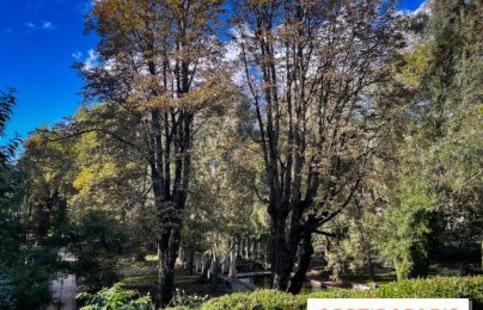 Starke Winde in Paris: Schließung von Parks, Gärten und Friedhöfen an diesem Dienstag