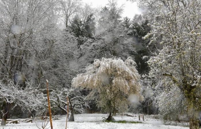 Wetterbericht. Die Kälte kehrt zurück, Schneevorhersage in den Alpen und vielleicht auch im Flachland