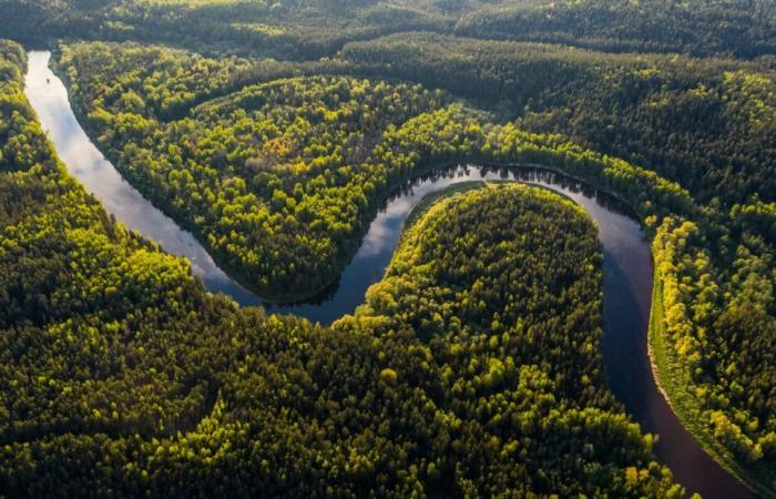 der erste Direktflug zwischen Europa und Manaus