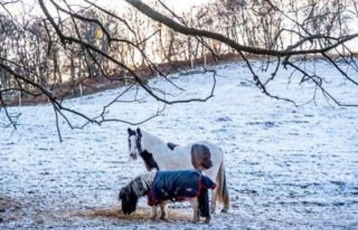 Wetter Großbritannien live: Reisechaos und Schulschließungen nehmen zu, da voraussichtlich bis zu 15 cm mehr Schnee fallen