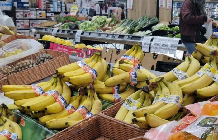 Pont-à-Mousson. Warum Intermarché diesen Winter den Verkauf von Erdbeeren und Kirschen einstellt