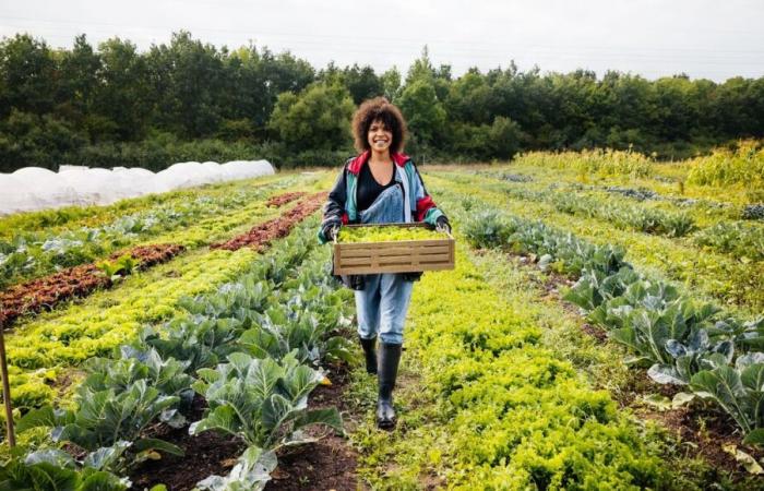 Die Landwirtschaftskammer der Dordogne bietet Angebote zur Hofübernahme an