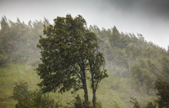 Stürme, Regen, Überschwemmungen … 70 Abteilungen wurden an diesem Dienstag in Alarmbereitschaft versetzt