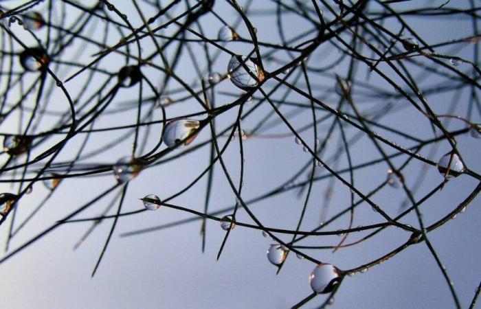 Wie wird das Wetter in Argentan und Umgebung am Dienstag, 19. November 2024, erwartet?