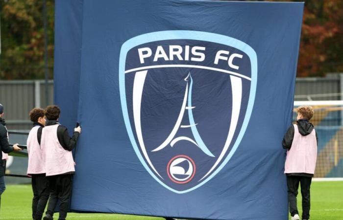 Paris FC: Eine Offensive der Familie Arnault in der Ligue 1, die Wahrheit kommt ans Licht