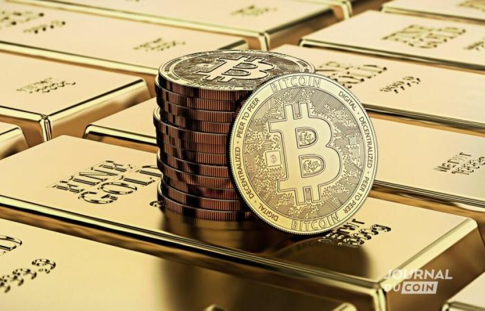 Bitcoin und Gold: Paul Tudor Jones sichert sich gegen Inflation ab, indem er einen BlackRock ETF im Wert von 230 Millionen US-Dollar besitzt