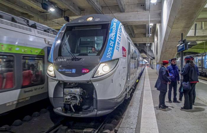 Der Transilien-Verkehr war an diesem Donnerstag gestört, besonders betroffen waren RER B und D