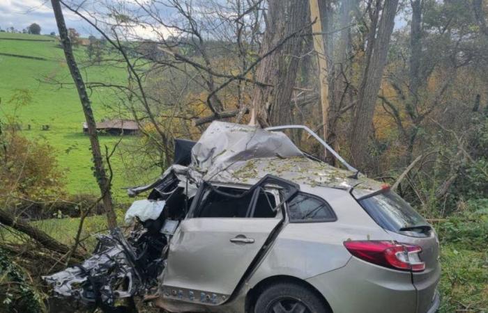 Rhone. Gewalttätiger Roadtrip: Ein Vierzigjähriger aus der Rhône verliert in Roannais sein Leben