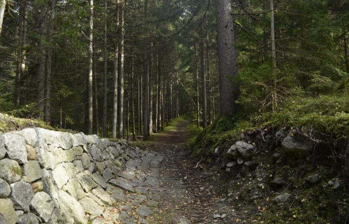 100 Jahre Olympische Spiele in den Alpen und ein umstrittenes Erbe