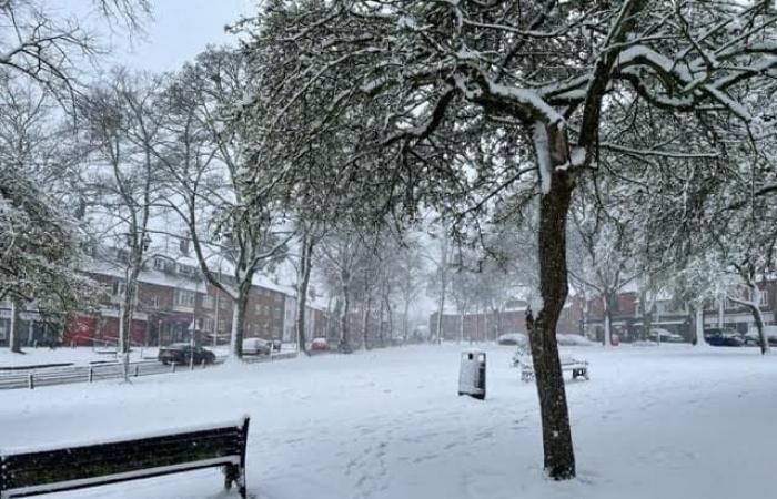 Vollständige Met Office-Prognose für Birmingham diese Woche (19. November).