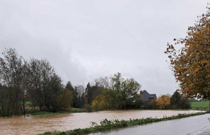 Abfluss von den Feldern, betroffene Häuser: Überschwemmungen überraschen die Brainois-Dörfer (FOTOS)