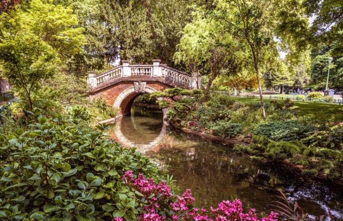 Starke Winde in Paris: Schließung von Parks, Gärten und Friedhöfen an diesem Dienstag