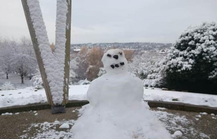 Hier sind Updates, die Sie brauchen, und alle Ihre Bilder vom plötzlichen Schneetag in Sheffield