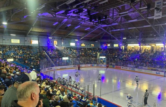 French übernimmt seinen Platz bei den Sudbury Wolves