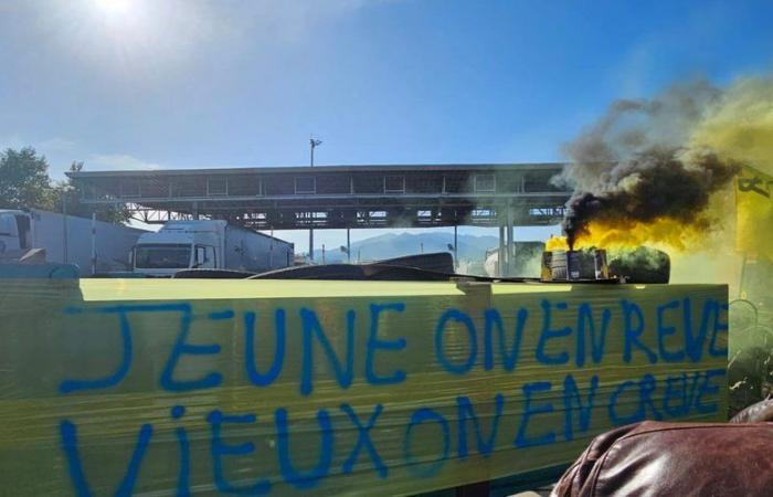 VIDEO Verärgerte Bauern: LKW-Blockade beginnt an der spanischen Grenze