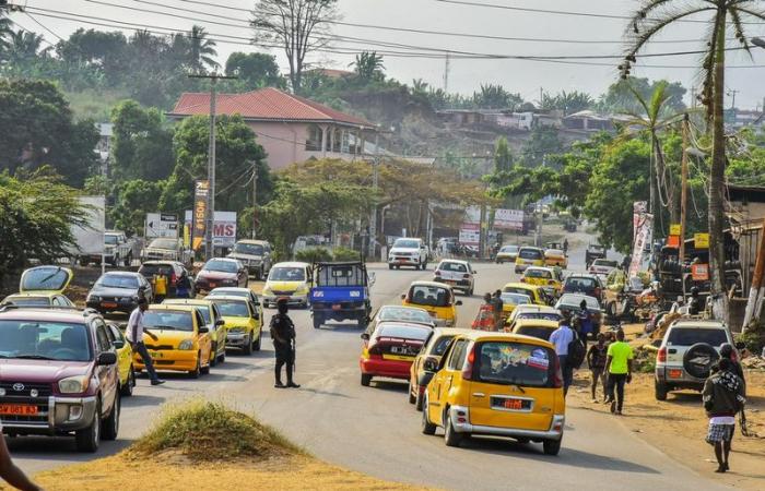 Kamerun: Marktpreise explodieren in Buea im englischsprachigen Raum – SOCIÉTÉ