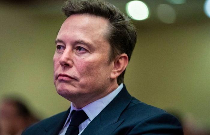 Trump-Präsident: Elon Musk in „großen Streit“ in Mar-a-Lago verwickelt