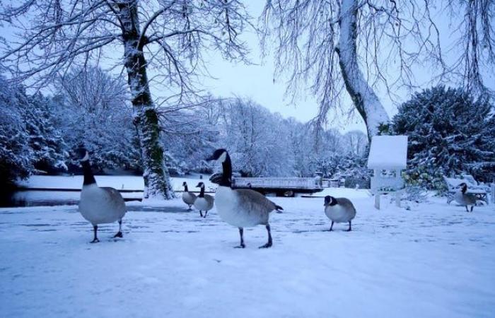 In Bildern: Großbritannien zittert, während das Schneewetter hereinbricht