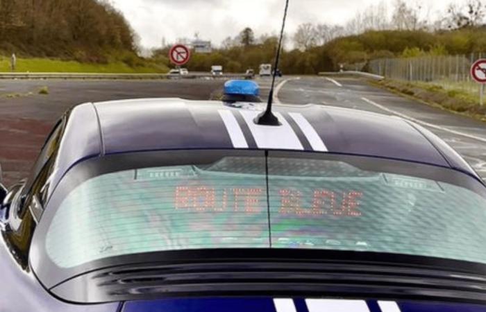 Mit 219 km/h am Steuer seines Tesla angeblitzt, weigert er sich, der Polizei zu gehorchen