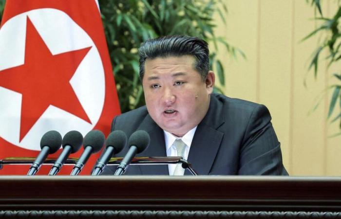 „Der erste Schritt zum Ende des Regimes“ von Kim Jong-un