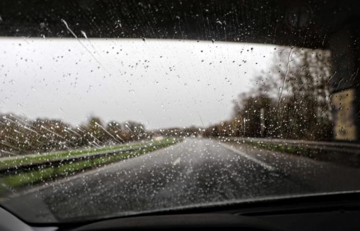 Wetterbericht. Wie ist das Wetter an diesem Dienstag, den 19. November in Hauts-de-France?