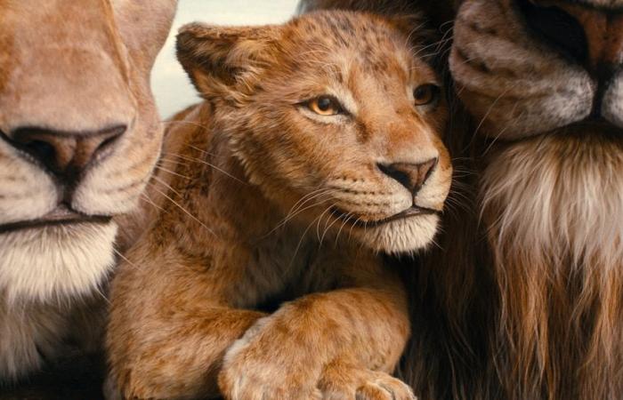 Letzter Trailer zu „Mufasa: Der König der Löwen“ mit epischem Abenteuer: Hier ansehen