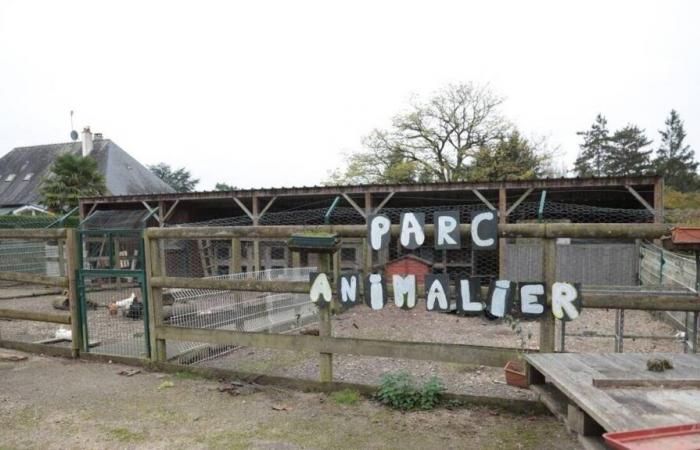 Hühner, Kaninchen … Die Curie-Schule wird die Anzahl der in ihrem Park in Mayenne willkommenen Tiere reduzieren