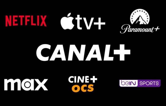 Letzte Tage, um das Canal+-Angebot zu nutzen (Netflix, Apple TV+, Paramount+, Max,…)