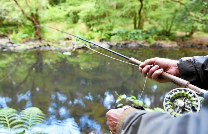 „Es ist ein verdammt großes Opfer“: Die Fischer der Côtes-d’Armor geben den Lachs auf … unter Bedingungen