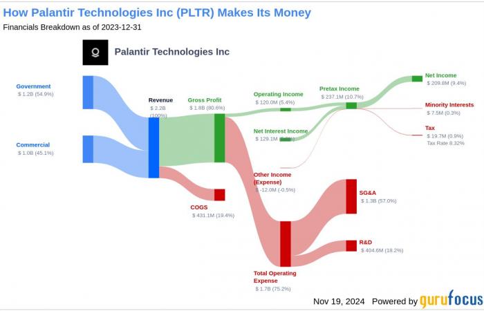 Wird Palantir Technologies Inc (PLTR) eine Underperformance verzeichnen? Analysezi