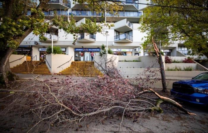 Laut Meteorologe kommt es wahrscheinlich zu Stromausfällen, da sich vor der Küste von British Columbia ein „Bombenzyklon“ bildet