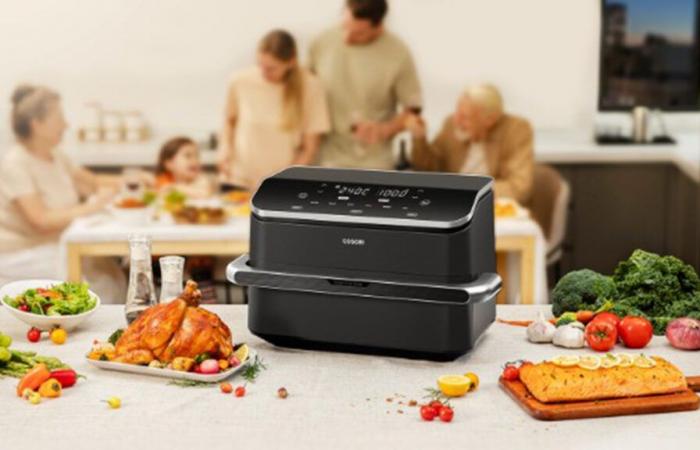 Black Friday 2024: Bereiten Sie ein Weihnachtsessen mit Ihrem neuen XXL-Airfryer zu einem sehr günstigen Preis zu