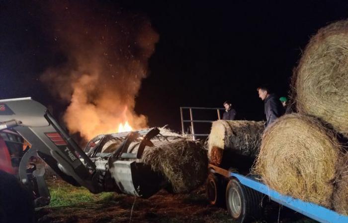 Zorn der Bauern: Das Mercosur-Ratifizierungsprojekt setzt Montauban in Brand