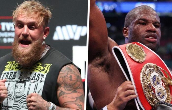 Nach Mike Tyson wird YouTuber Jake Paul vom IBF-Schwergewichtsweltmeister Daniel Dubois herausgefordert