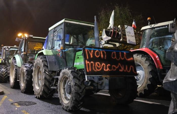 In der Dordogne veranstalten Bauern ein Barbecue, um auf das Abkommen mit dem Mercosur aufmerksam zu machen