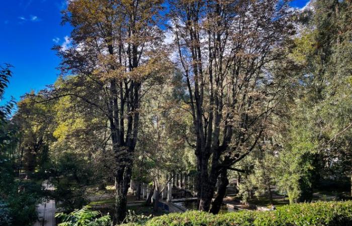 Starke Winde in Paris: Schließung von Parks, Gärten und Friedhöfen an diesem Dienstag