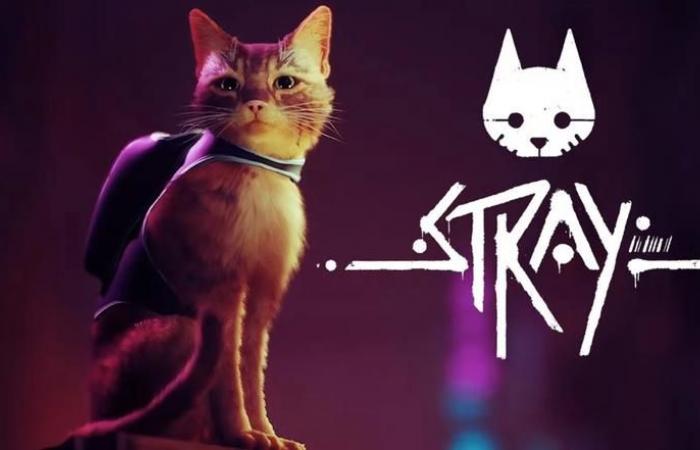 Spiel des Tages: Stray – die Cyberpunk-Reise einer roten Katze in eine zerstörte Welt ist jetzt für Nintendo Switch verfügbar.